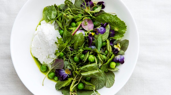 spring_greens_peas_ricotta_and_preserved_lemon