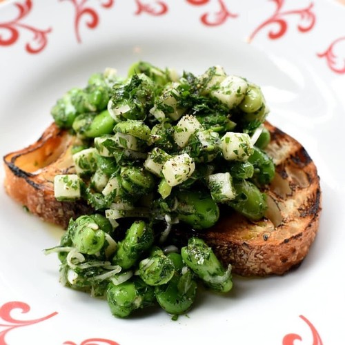 hearth_fava_bean_and_pecorino_salad